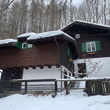 Kleine Alpenhuette In Lend 2024 Neben Der Salzach Villa Exterior photo