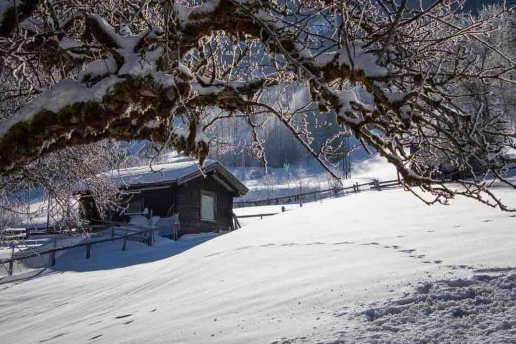 Kleine Alpenhuette In Lend 2024 Neben Der Salzach Villa Exterior photo